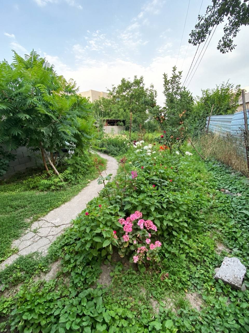 Купить земельный участок, Орто-Сай, Бишкек — 316 м² - фото 1